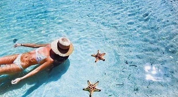 cid:image004.jpg@01D2FEFF.F80B6E60