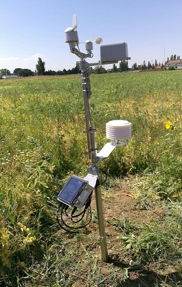 Imagen que contiene hierba, exterior, cielo, campoDescripcin generada con confianza muy alta