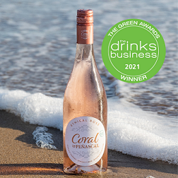 A bottle of beer on a beachDescription automatically generated with medium confidence
