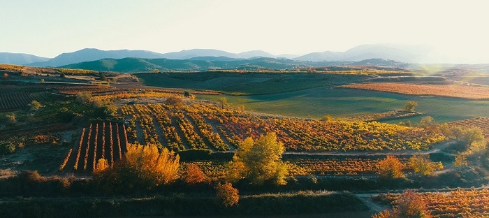 Vista de una ciudad desde lo alto de una monta�aDescripci�n generada autom�ticamente con confianza media