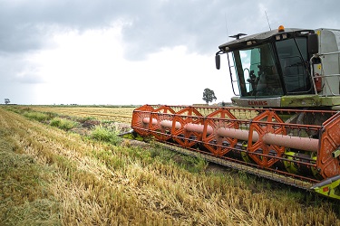 NESPRESSO DONA 152 TONELADAS DE ARROZ A BANCOS DE ALIMENTOS DE TODA ESPAÑA  A TRAVÉS DEL RECICLAJE DE SUS CÁPSULAS