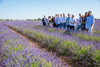 Académicos y patronos de la Fundación Academia del Perfume posan en medio de los campos de lavanda de Brihuega