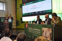 Rodrigo Sánchez Haro, consejero de Agricultura, Pesca y Desarrollo Rural (en el atril); Luis Osuna, presidente de CAEA; Álvaro Guillén, presidente de Landaluz; y Álvaro Portes, director territorial Sur de CESCE.