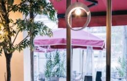 LA MALCRIADA DE FLEMING