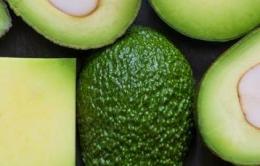 Foto: The World Avocado Organization