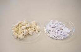 Papel contaminado (izquierda) y papel descontaminado (derecha) mediante el proceso desarrollado por ITENE en el proyecto VALOCEL. Foto: ITENE